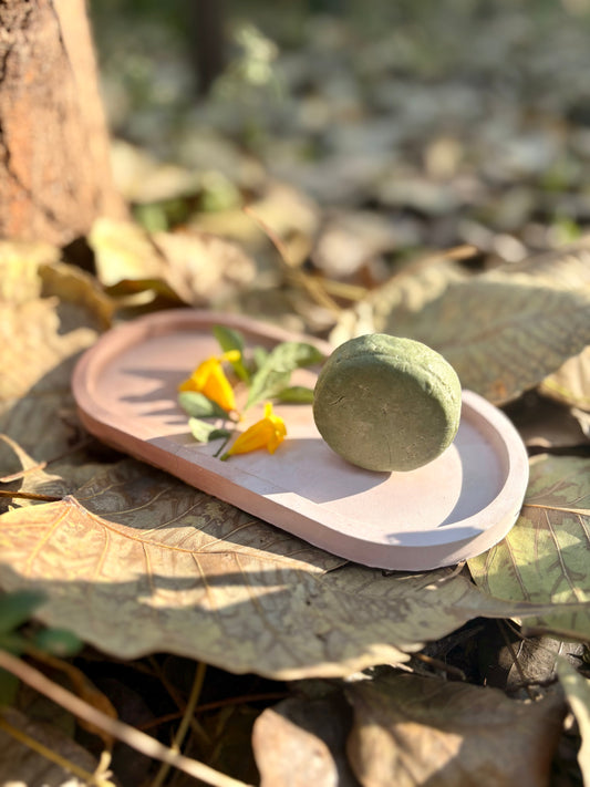 Forest shampoo bar by Clean & Conscious Care, handmade and plastic-free