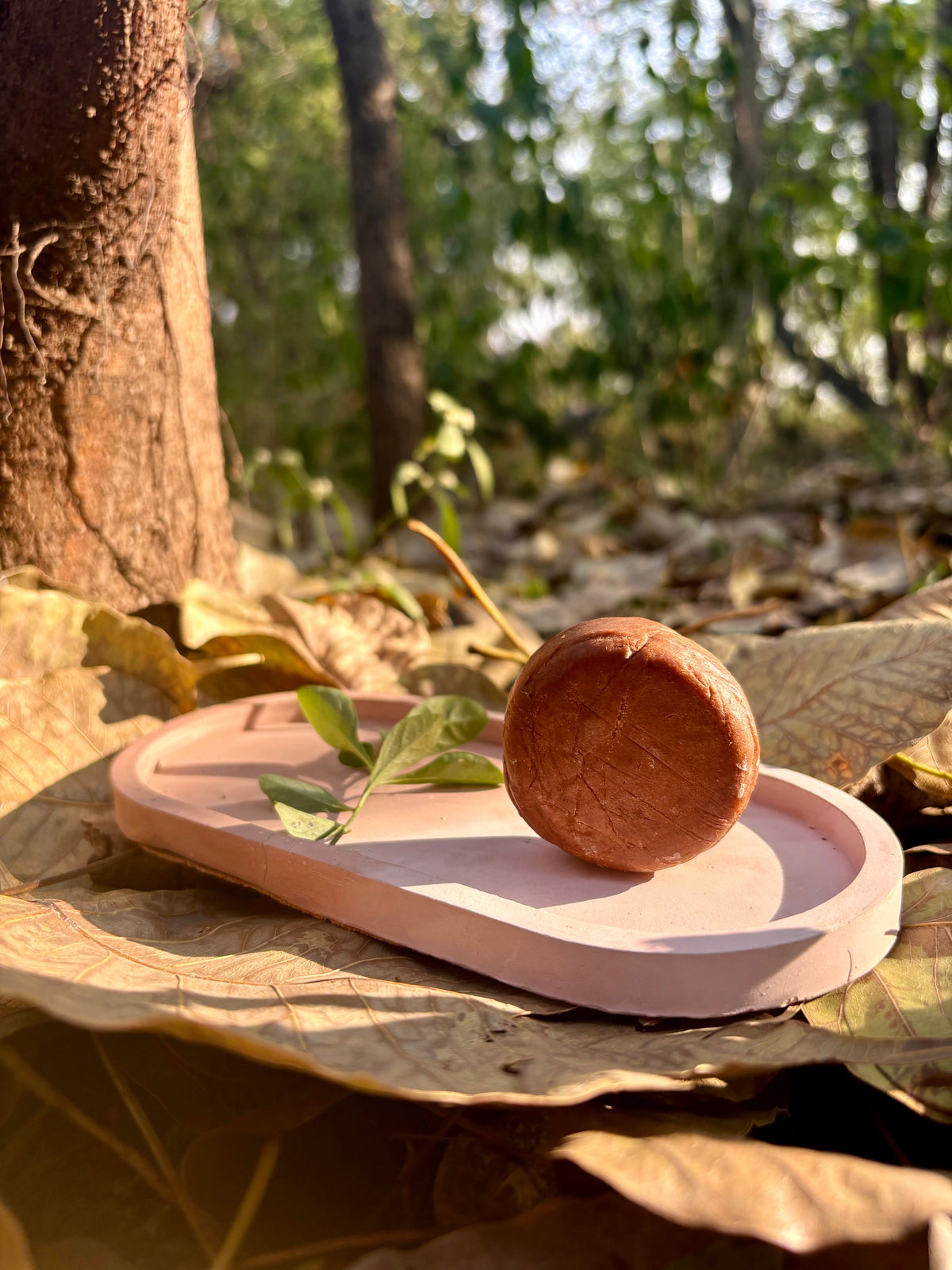 Terrain neem shampoo bar with tea tree and peppermint for scalp care